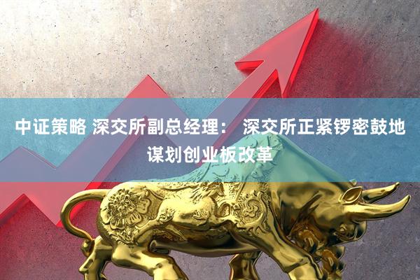 中证策略 深交所副总经理： 深交所正紧锣密鼓地谋划创业板改革