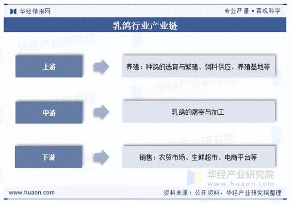 双盈策略 2025年中国乳鸽行业出栏量、重点企业分析及行业发展趋势
