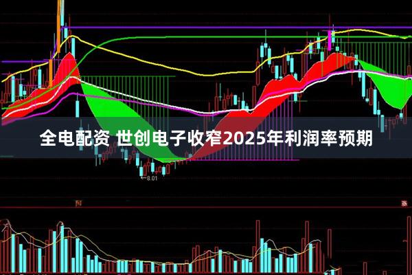 全电配资 世创电子收窄2025年利润率预期
